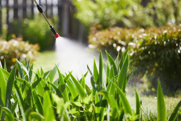 24/7 Emergency Wasp Removal experts in Vashon, WA