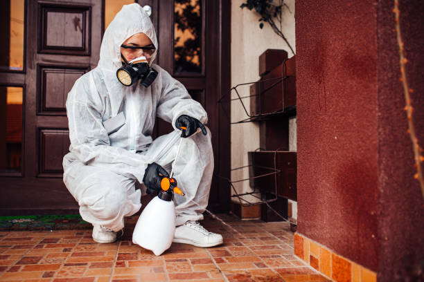 Reliable Wasp Removal contractor in Vashon, WA by Show Me Pest Control